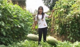 你过来啊吃瓜视频大全免费观看,免费观看“根据你过来啊吃瓜视频大全”